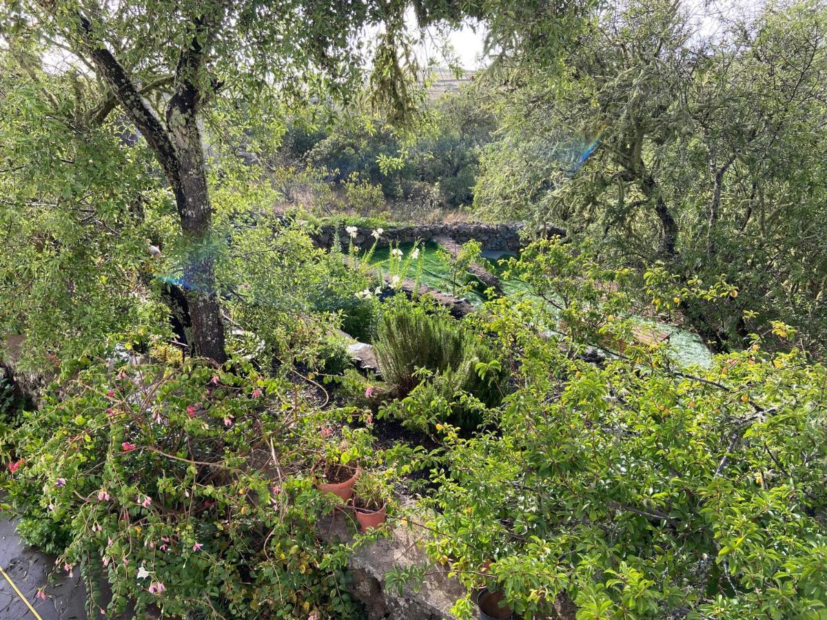 Casas Rurales Tio Antonio Las Rosas  외부 사진